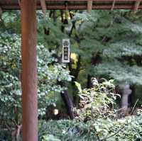 🌸 名古屋德川園：靜謐之美的歷史庭園 🏯🌿