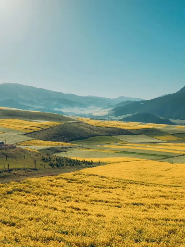 6-Day Zhangye-Haibei-Haixi Itinerary