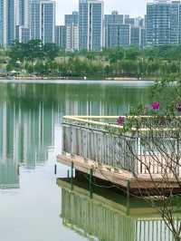 在廣州，離地鐵200米的大草坪沿湖碧道！