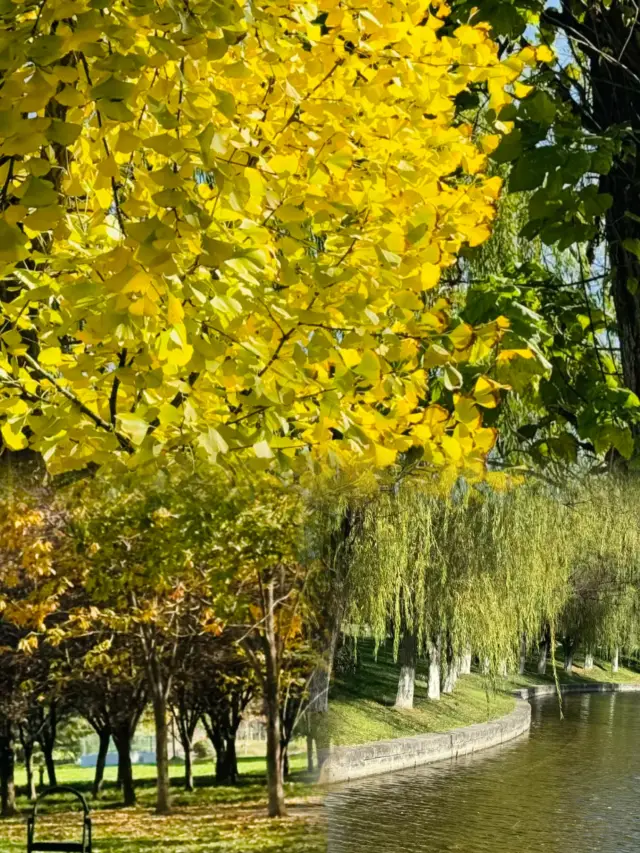 西安|大明宮遺址公園|穿越千年,赴舊時光之約
