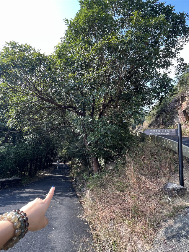 大欖郊野公園｜麥理浩徑第十段千島湖清景台