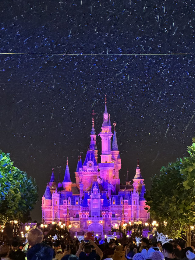 11.11 Live! Disney Christmas Season is Here 🎄 with Photo Tips 📷