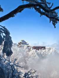 廣東人狂喜出發 3 小時到達看霧淞雲海美哭…