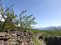雅安｜茶馬古道起點，蒙頂山的清涼夏天