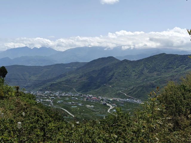 雅安｜茶馬古道起點，蒙頂山的清涼夏天
