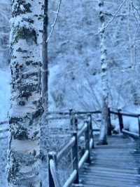 龍江第一灣｜來追一場北方的雪吧