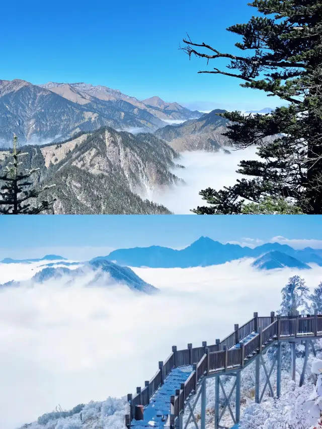 Chengdu's stunning snow scenery is a must-see! Xiling Snow Mountain! It has snowed recently. 