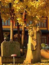 不見龍鱗近佛香，猶存鴨腳覆僧廊青浦·報國寺！