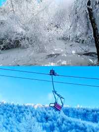萬龍滑雪場旅遊指南