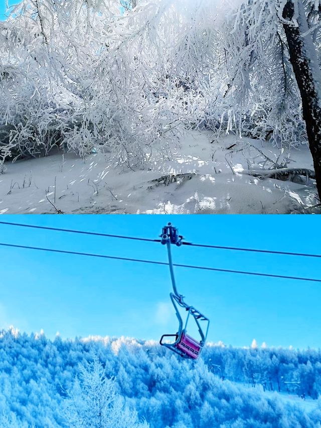 萬龍滑雪場旅遊指南