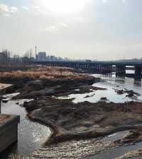 冬日淺遊永濟公園