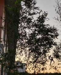 上野澗：藏於九江中心的新中式庭院咖啡店