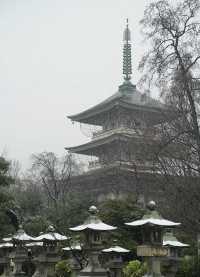 樂在大雪紛飛—日本長野