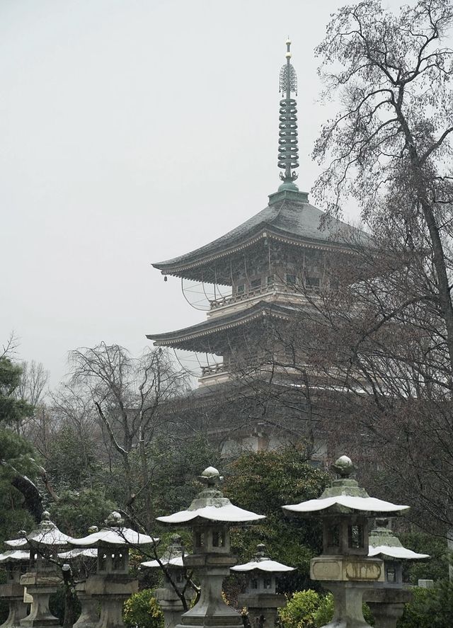 樂在大雪紛飛—日本長野