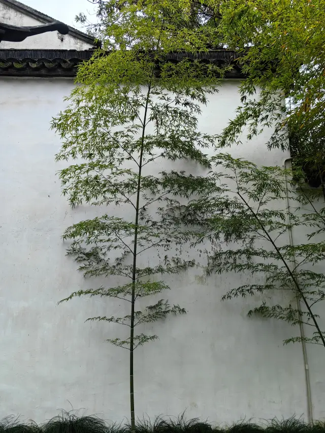 Zhuozheng Garden