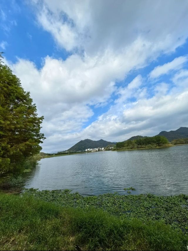 徒手摘星｜記錄兩次星空之旅