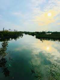 二井灣濕地公園打卡指南·珠海橫琴週末
