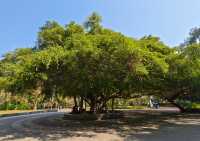 廣西北海市的中山公園