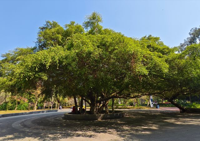 廣西北海市的中山公園