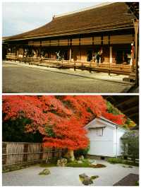 京都·南禪寺｜來京都必打卡的寶藏寺院體驗和服之美