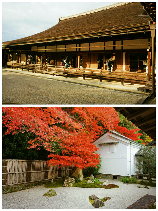 京都·南禪寺｜來京都必打卡的寶藏寺院體驗和服之美