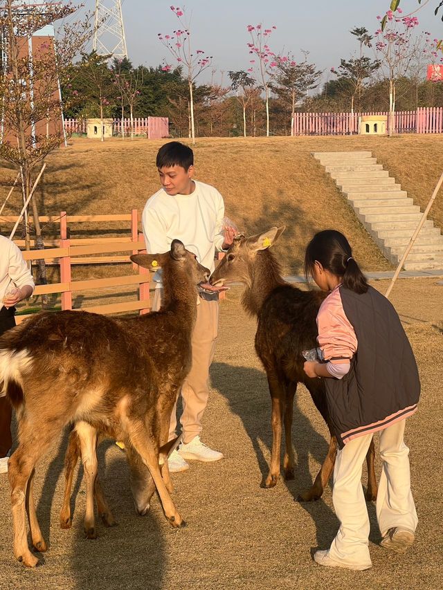 一小時逃離城市計劃｜盈香心動樂園