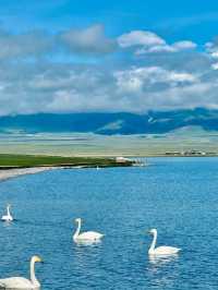 Xinjiang, the most beautiful place in my heart in China 🌹