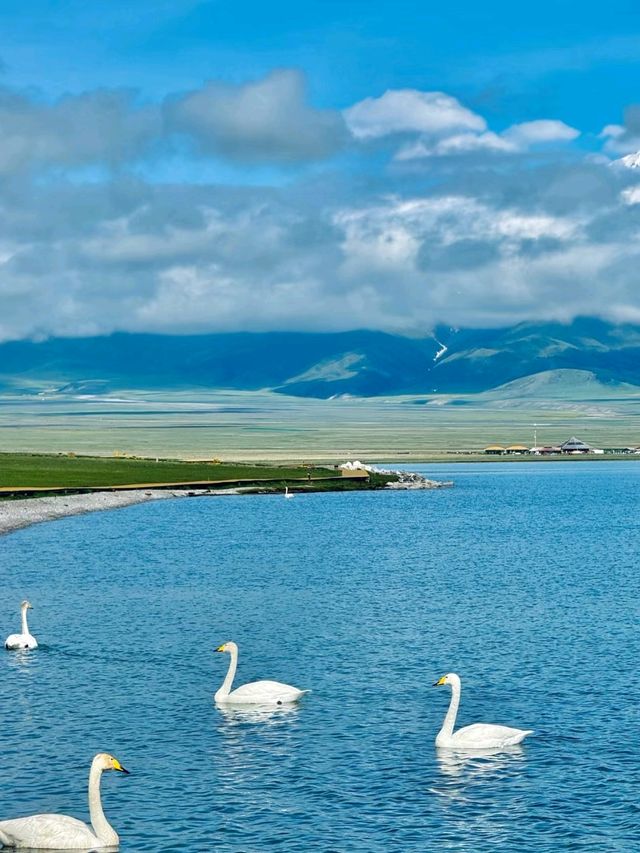 Xinjiang, the most beautiful place in my heart in China 🌹