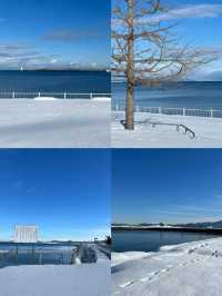 奔赴青森，邂逅四季浪漫