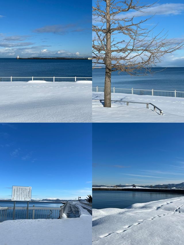奔赴青森，邂逅四季浪漫