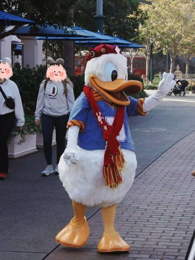 在加州迪士尼過年味兒春節！！【快通卡詳解版