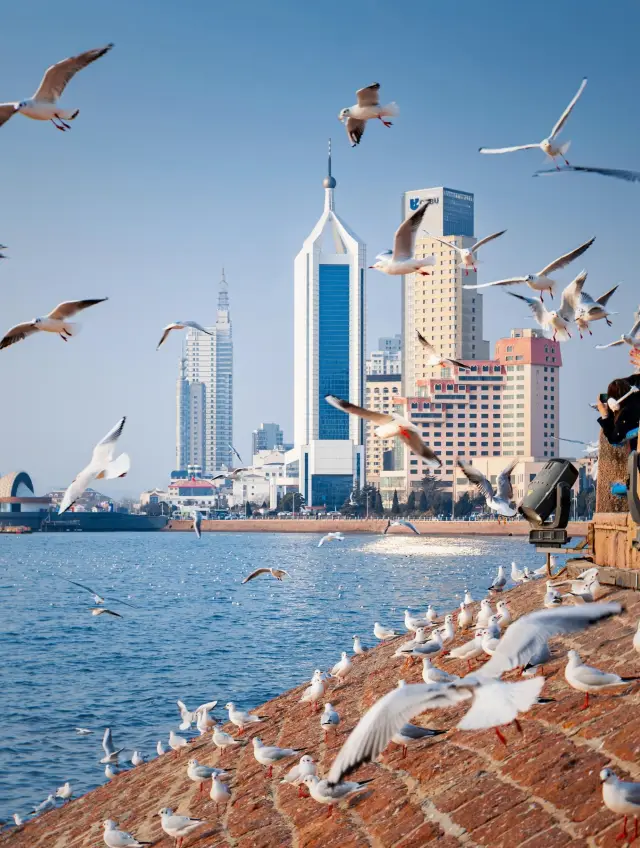 17 Must-Visit Winter Photography Spots in Qingdao