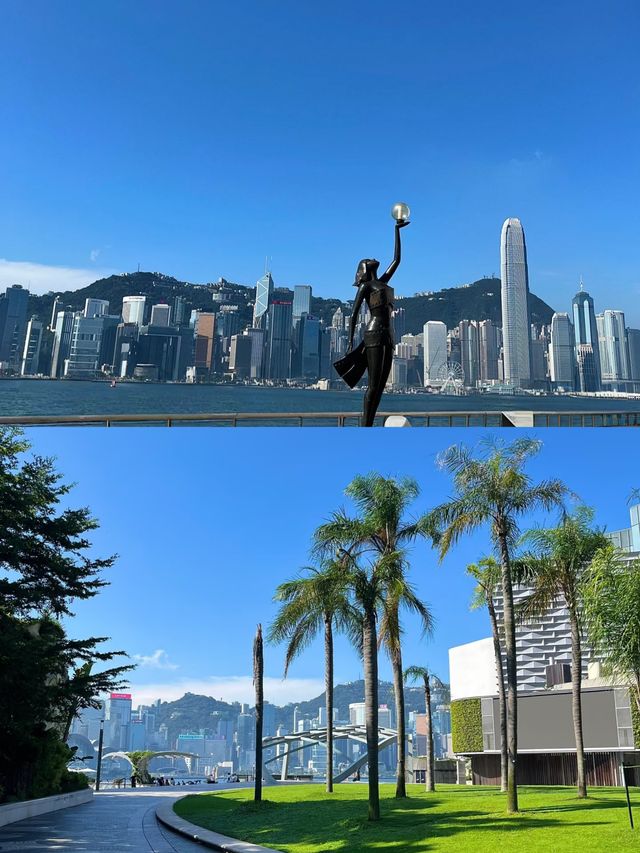 邂逅維多利亞港 | 一眼便是香港的浪漫與繁華