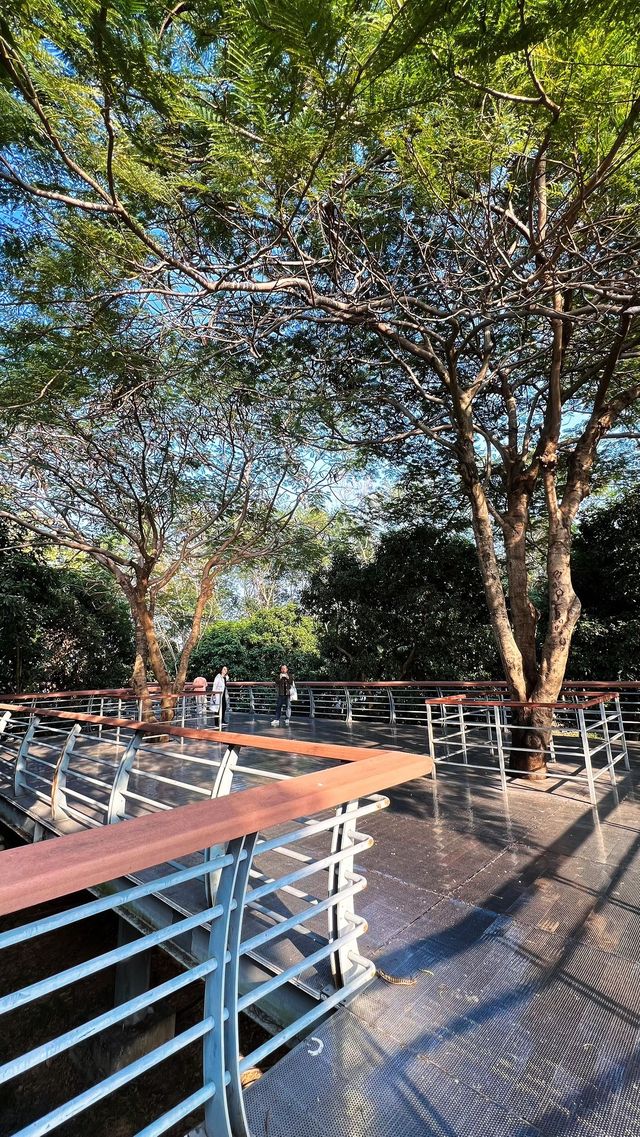 立新湖公園