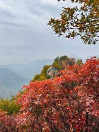 廬山2日遊｜超全攻略 不踩雷