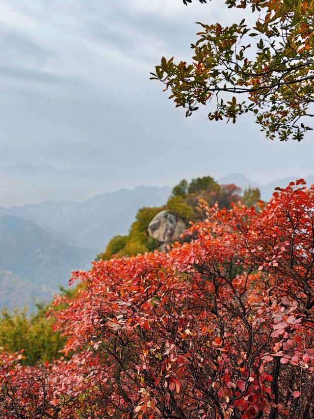 廬山2日遊｜超全攻略 不踩雷