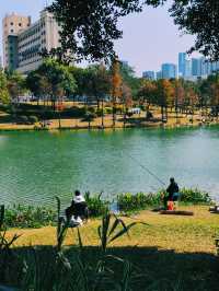 深圳好逛公園系列｜落羽杉草地和流水潺潺