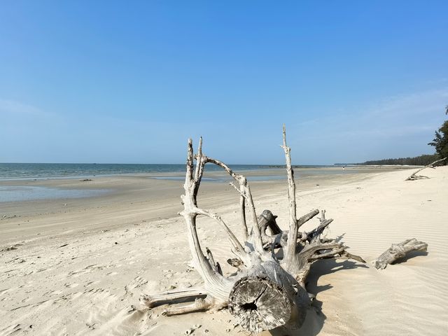 山海露營基地