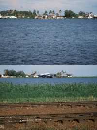 Home On The Nile