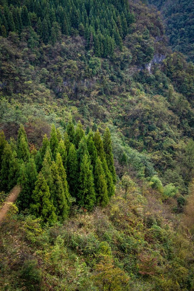 都勻剪刀寨 | 邂逅詩意田園與山野徒步之樂