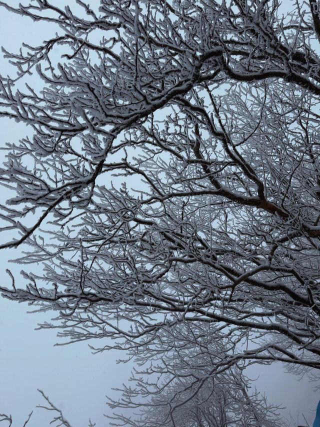 驚爆！龍頭山的美景，竟讓遊客不願返程