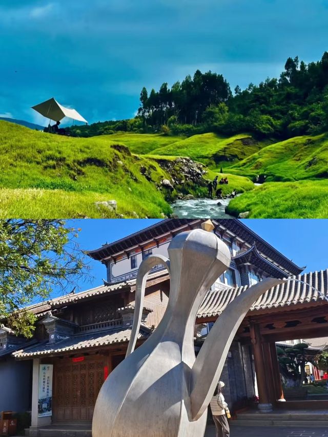 鶴慶已回，說點大實話。