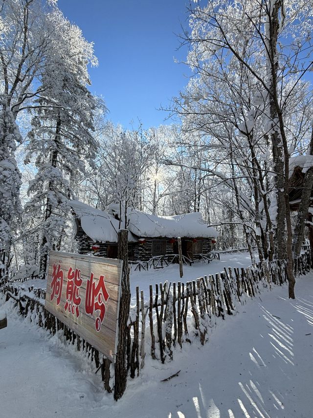 瀋陽故宮-長白山-鏡泊湖9日遊 超詳細攻略來襲