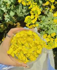 肥必去人文與自然完美融合！