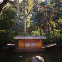 🇯🇵 東京 · 探館｜美術館星羅棋佈