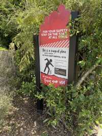 The Closest You Can Get To A Moonwalk, Forget Earth For a while