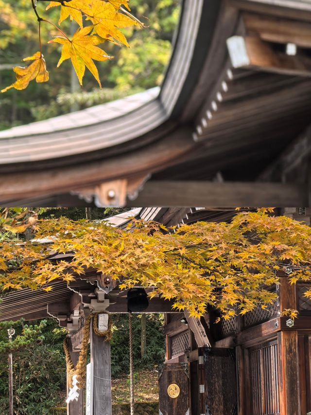 在那須鹽原的山川間，尋找生活的答案