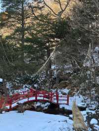 日本6天遊 小長假出行正當時