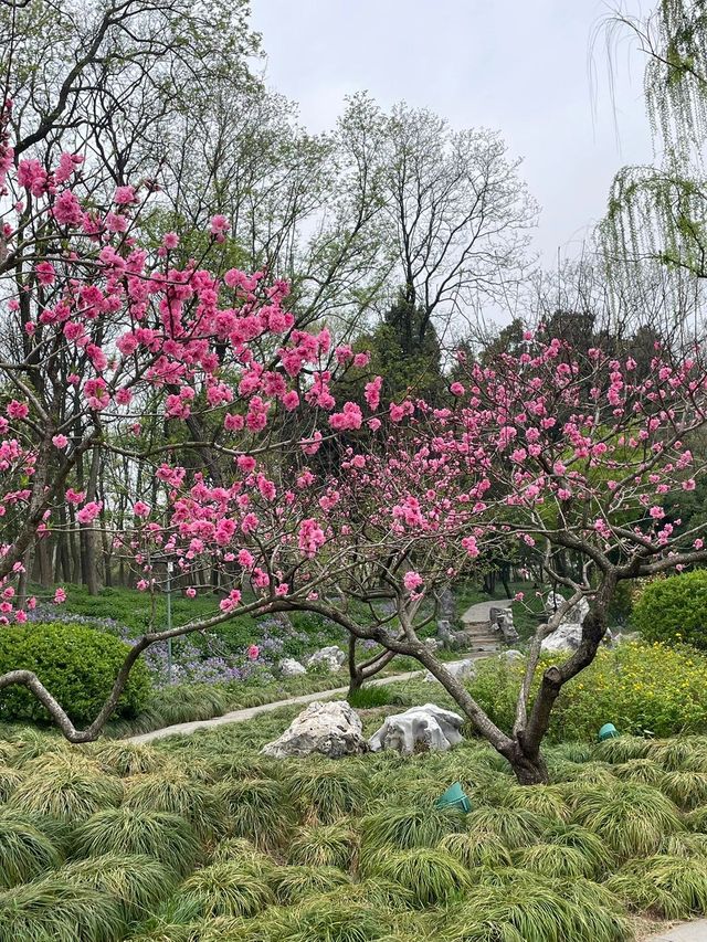 小長假揚州鎮江旅遊攻略 必看推介