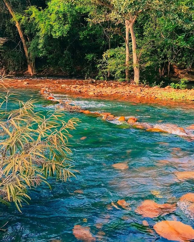阿布加魯姆自然保護區（Abu Galum Nature Reserve）——紅海秘境探險之旅 